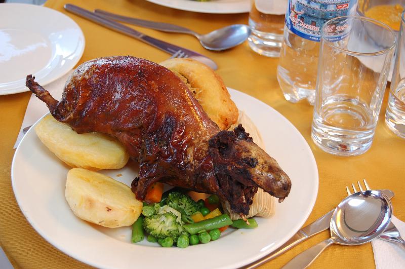 DSC_5491.JPG - Cochon dinde juste avant le festin !