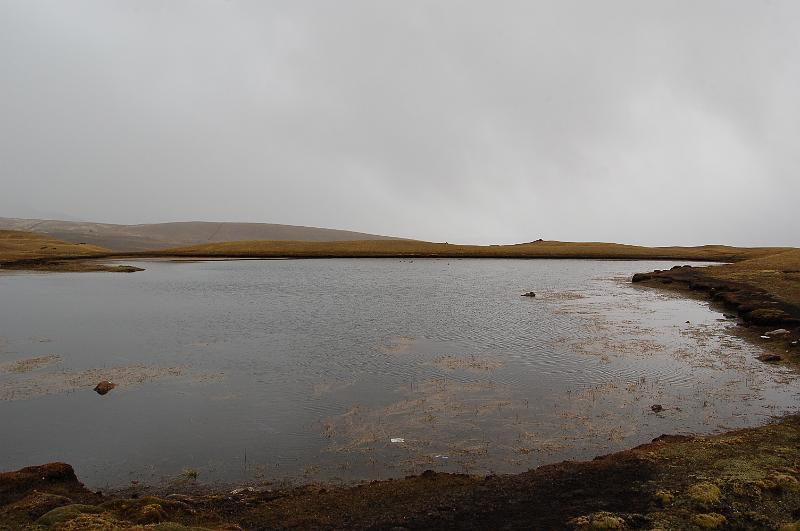 DSC_5596.JPG