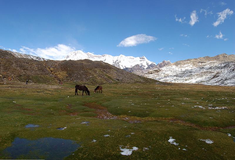 DSC_5633_P.JPG