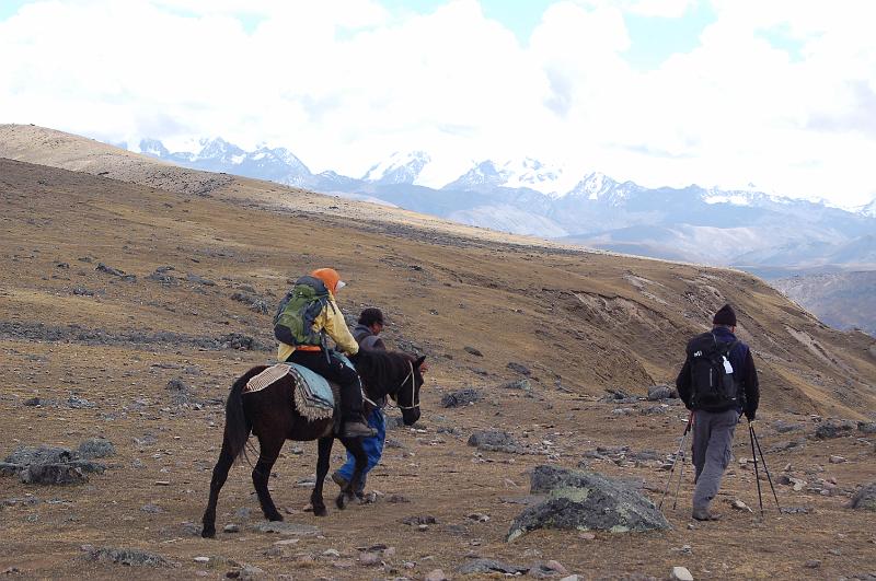 DSC_6260.JPG - La mule de secours, au cas ou.....Chantal l'essaie sur 300m et ça suffit, c'est plus périlleux que la marche à pied!