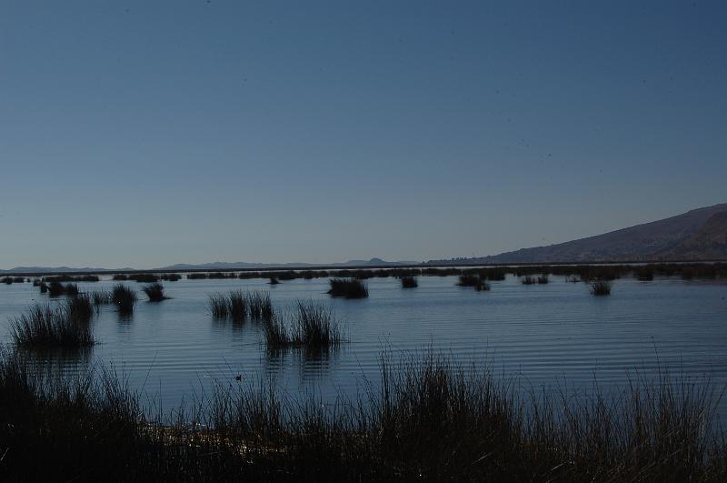 DSC_6388.JPG - Bord du lac Titicaca