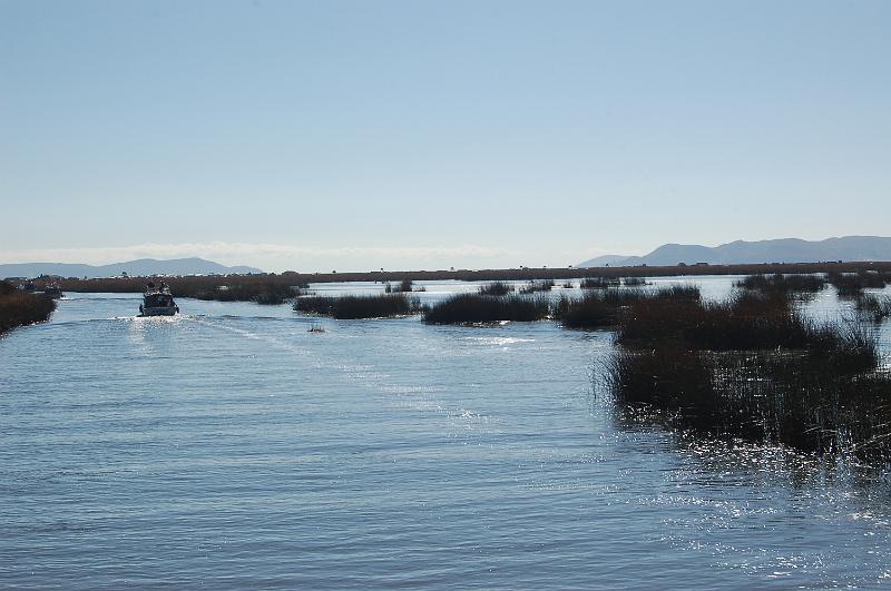 DSC_6395.JPG