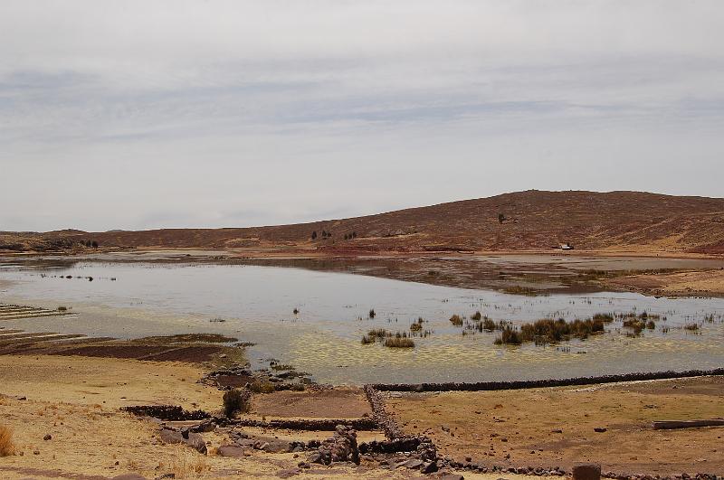 DSC_6504.JPG - En route pour Chivay, nous nous arrêtons au bord d'un petit lac ou une presqu'île abrite des tombeaux incas: Sillustani.