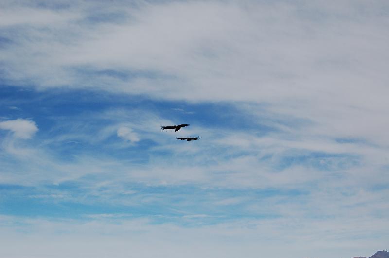 DSC_6679.JPG