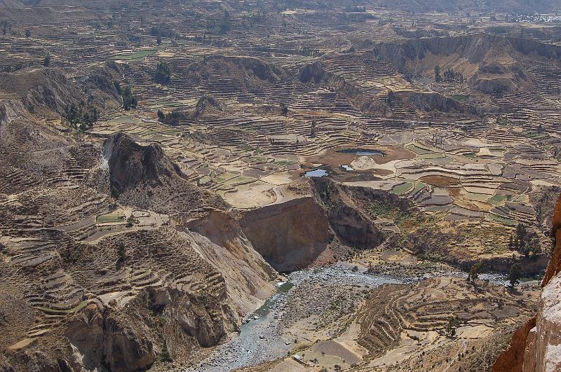 DSC_6757.JPG - Vallée de Colca