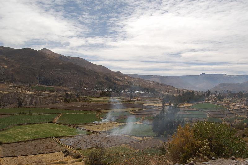 DSC_6766.JPG - Vallée de Colca