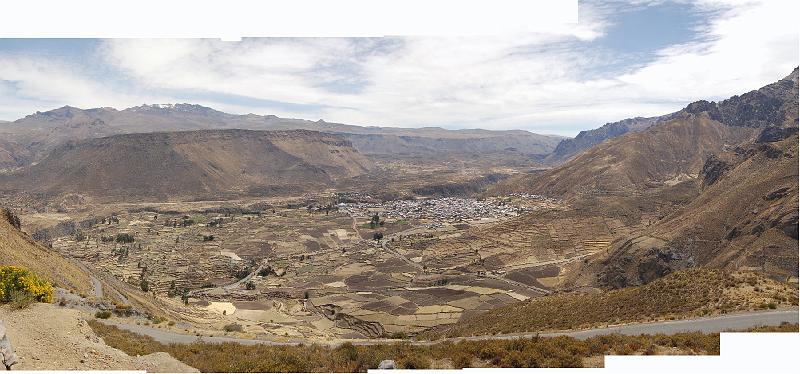 DSC_6772_P.JPG - Vallée de Colca