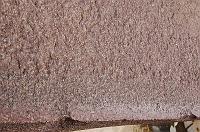 DSC_5121