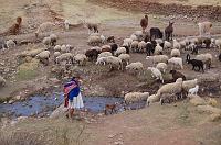 DSC_5447