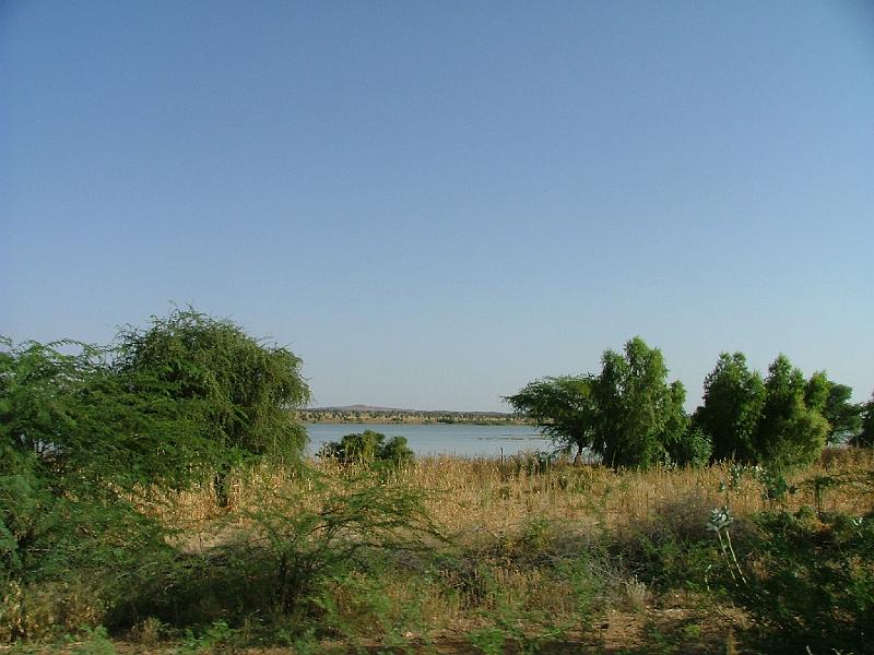 DSCF6465