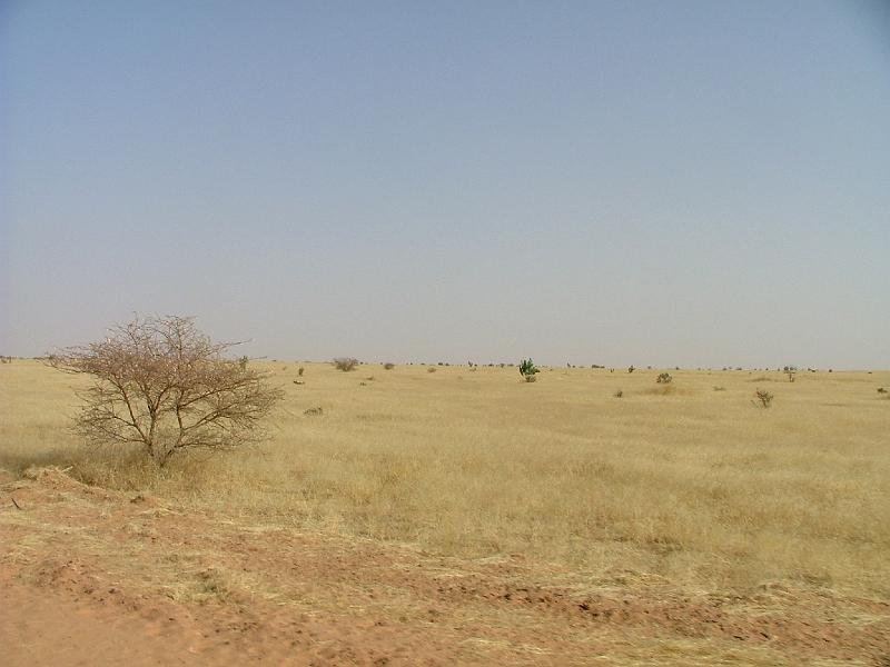 DSCF6501