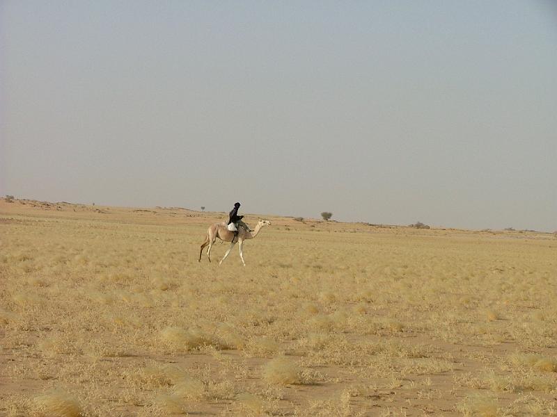DSCF6552