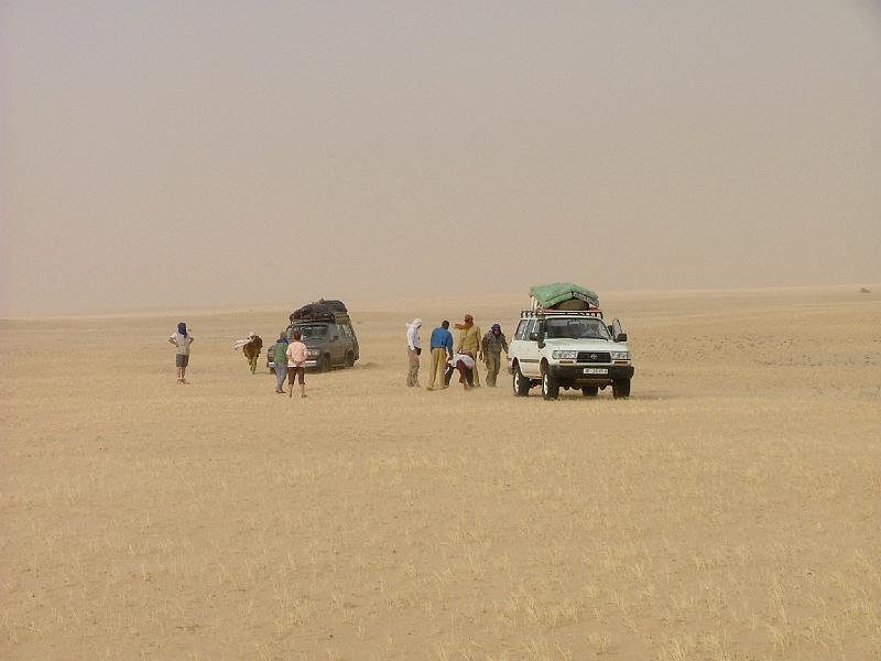 DSCF6555