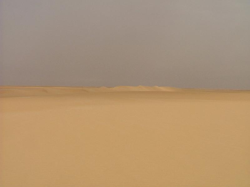 DSCF6567