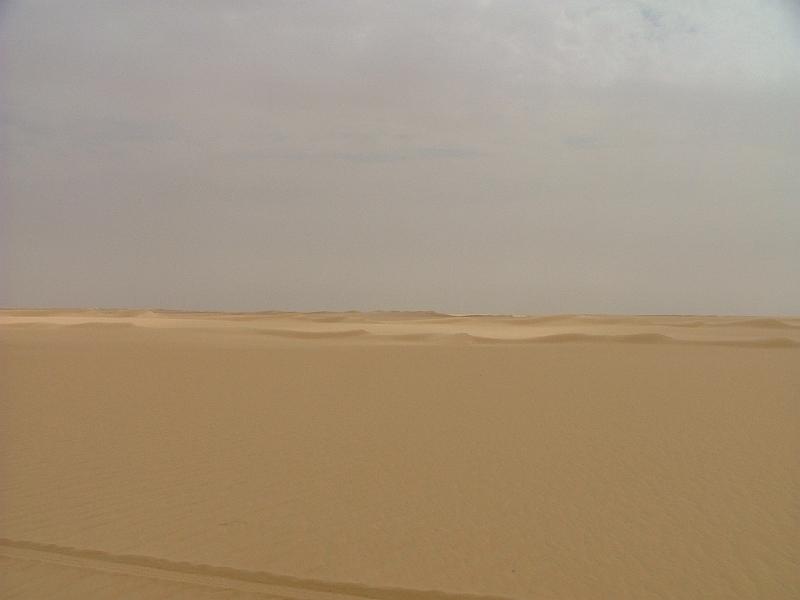 DSCF6576