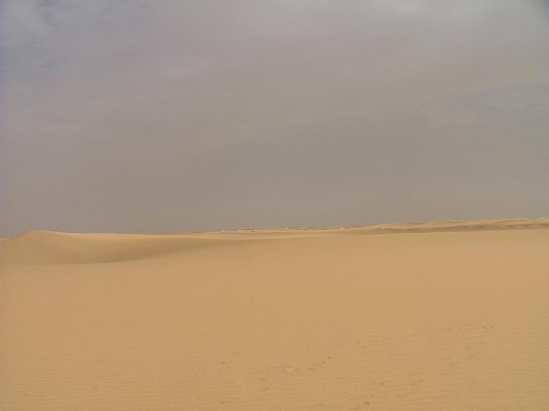 DSCF6586