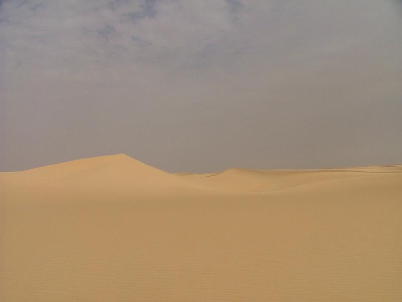 DSCF6587