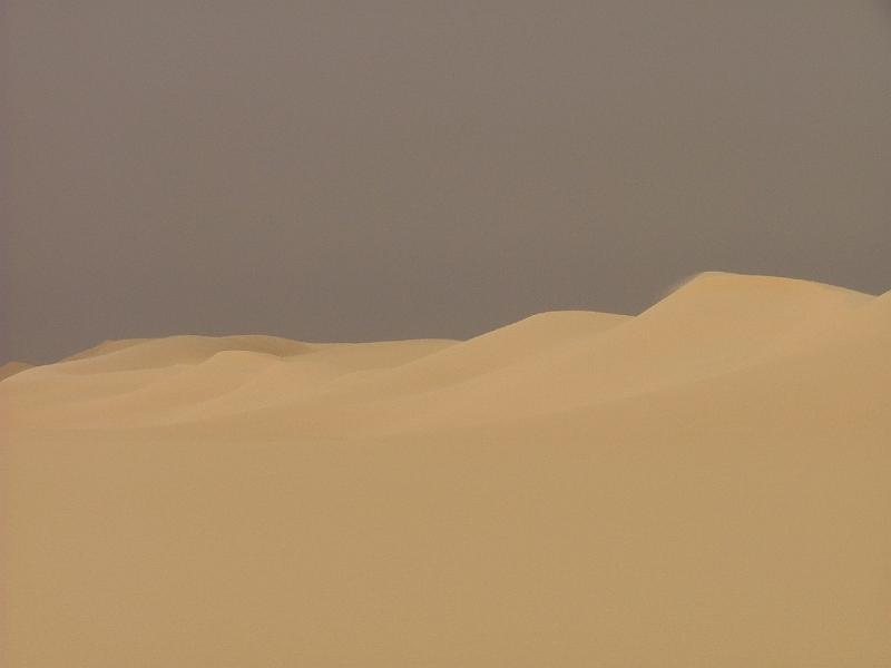 DSCF6588