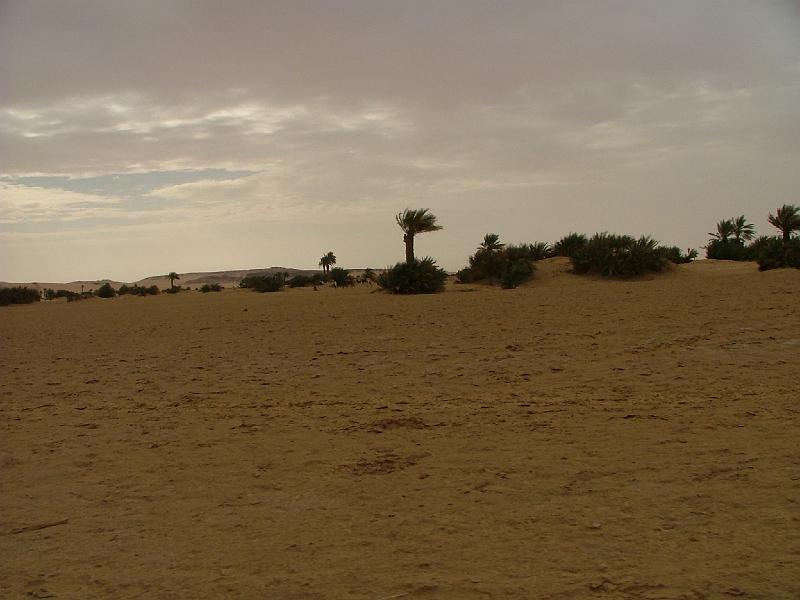 DSCF6643