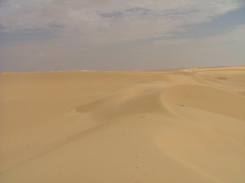 DSCF6656