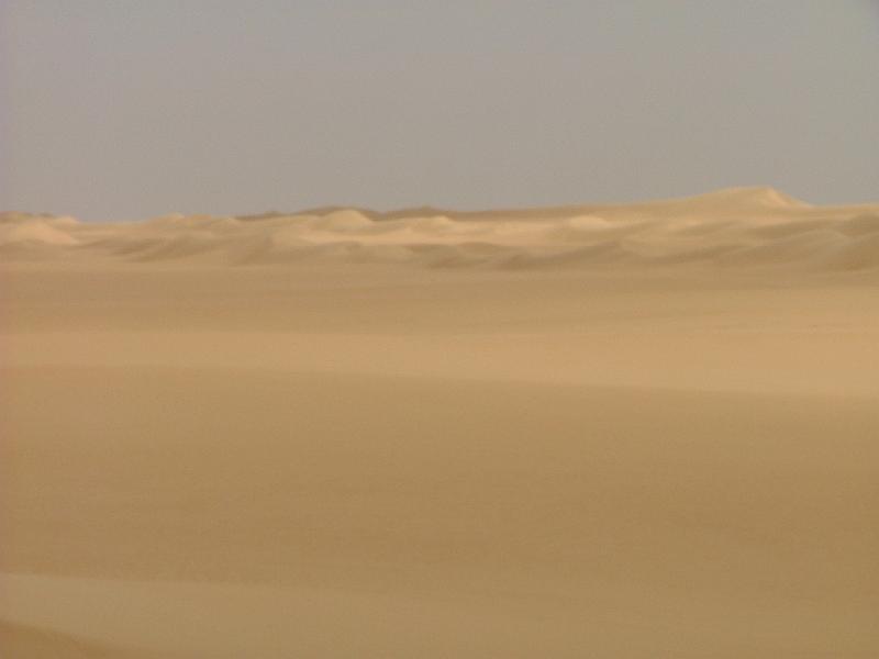 DSCF6657