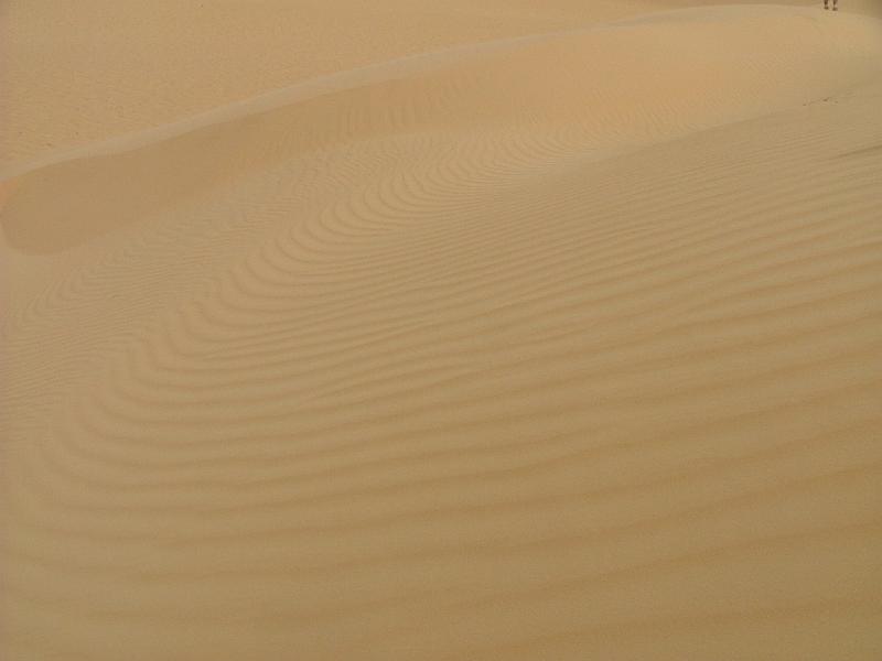 DSCF6660