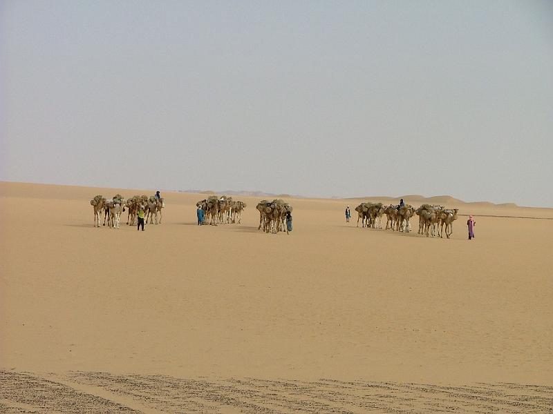 DSCF6664
