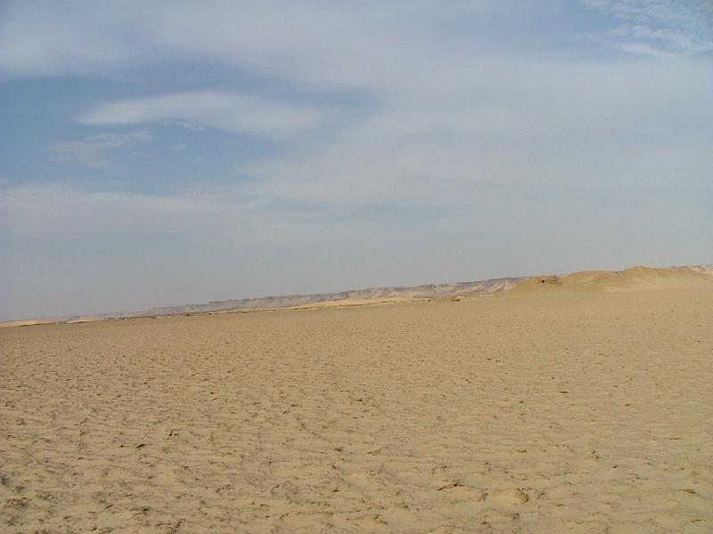 DSCF6678