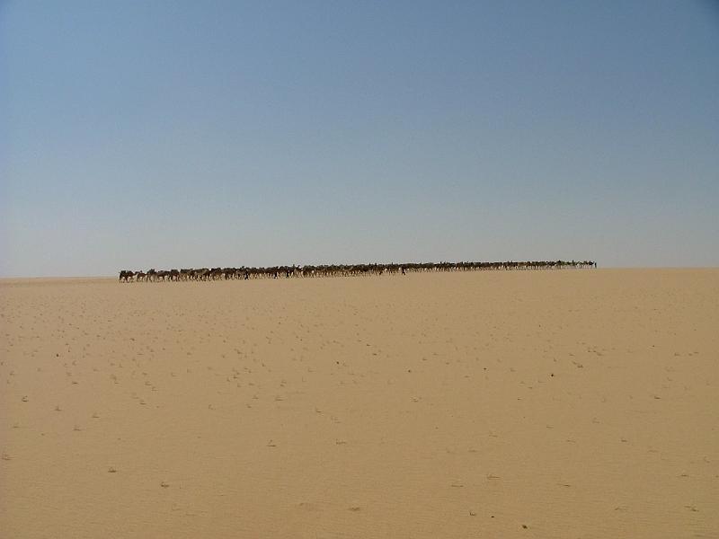 DSCF6747