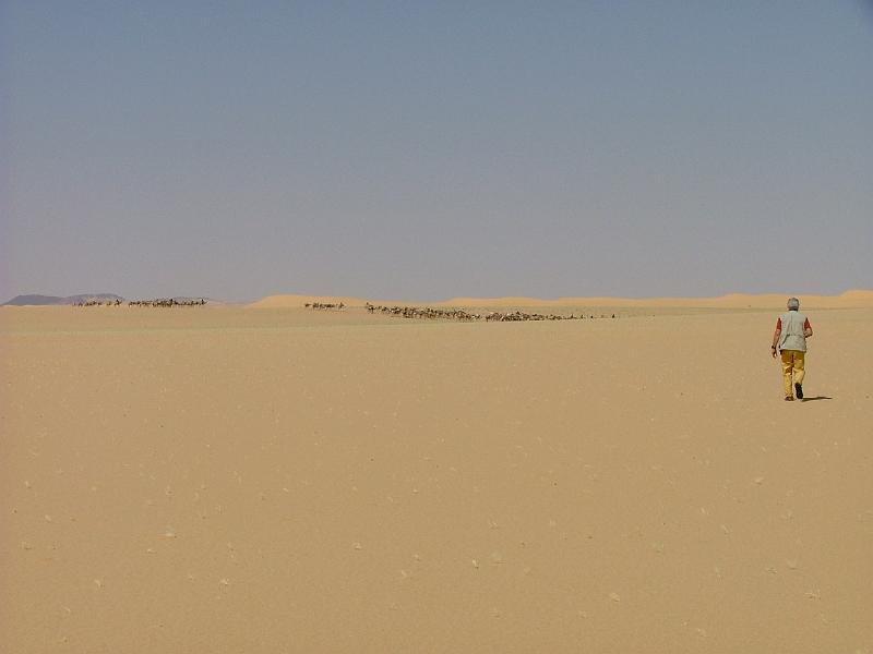 DSCF6749