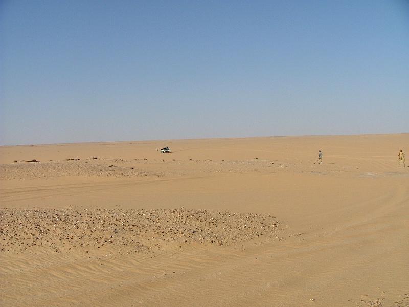 DSCF6783