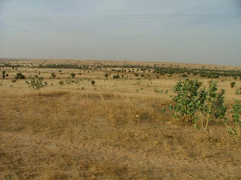 DSCF6837