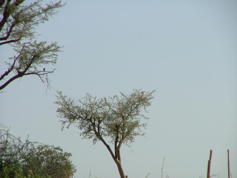 DSCF6926