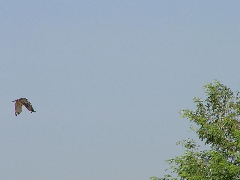 DSCF6945