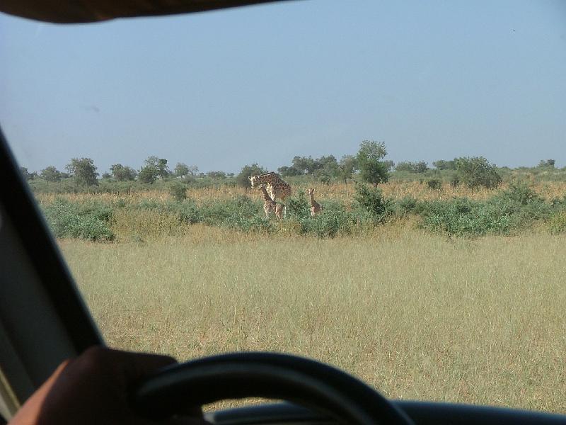 DSCF6950