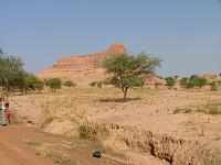 DSCF6418