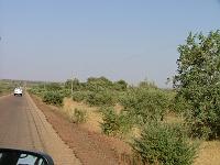 DSCF6420