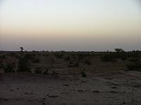 DSCF6431