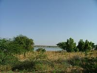 DSCF6465