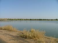 DSCF6467