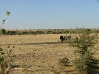 DSCF6477