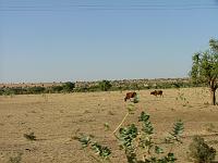 DSCF6478