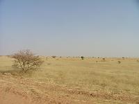 DSCF6501