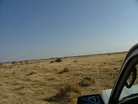DSCF6513