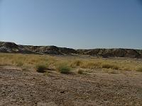 DSCF6521