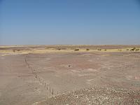 DSCF6531