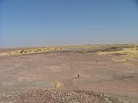 DSCF6532