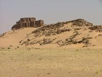 DSCF6551