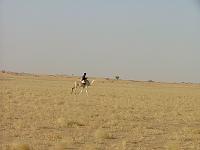DSCF6552