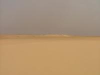 DSCF6567